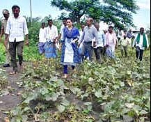 DC Visits Rain-Affected Areas, Promises Relief to Farmers