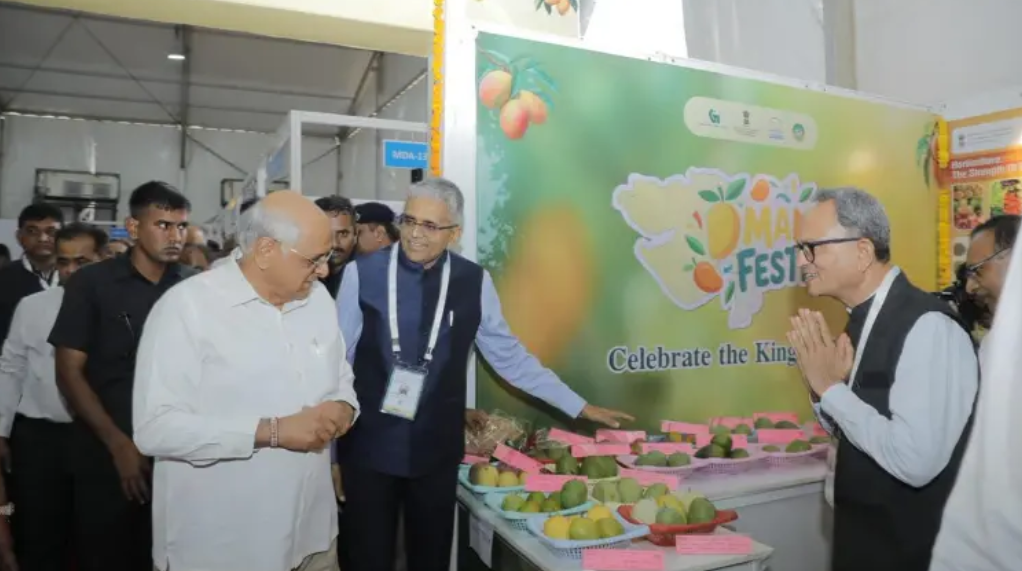 Foreign delegates highlight semiconductor, renewable energy opportunities at VGRC in Surat