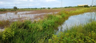 Heavy Rains Destroy Most Crops, Farmers in Face Crisis