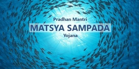 Applications open under PM Matsya Sampada Yojana for fisheries