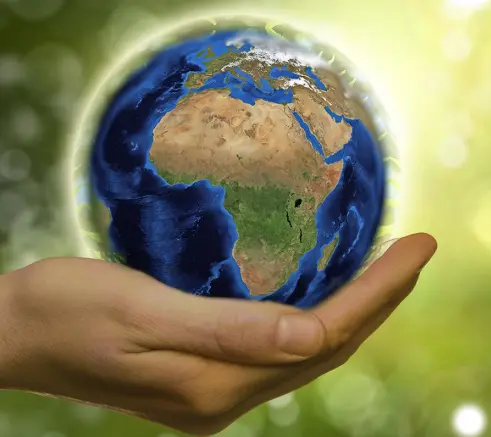 Renewable Energy Investment in 2025: Shaping a Sustainable Future