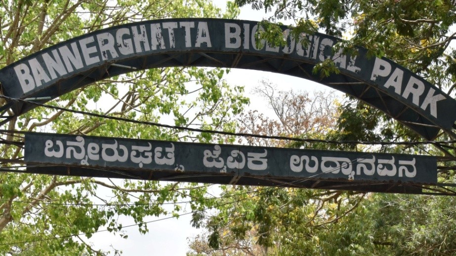Activists Urge Immediate Action to Protect Bannerghatta National Park