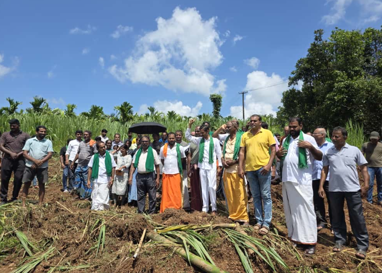 Tenkamijaru Farmers Protest as Power Line Work Destroys Crops