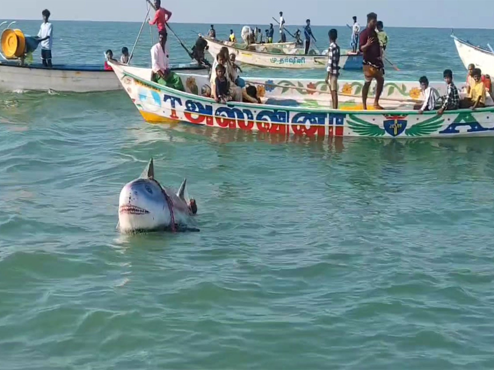 Ancient Shiva Fishing Ritual Attracts Thousands Of Devotees During Chitra Pournami