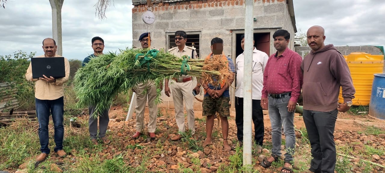 Police Bust Illegal Ganja Cultivation in Dindahalli Village